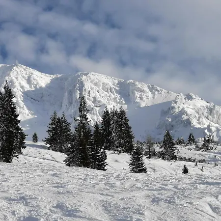 Olympia Axams Daire İnnsbruck